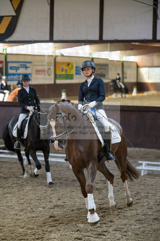 Reitturnier Voxtrup | Entdecke hochwertige Reitturnierfotos von Foto Oger. Professionell, emotional und authentisch – jetzt Lieblingsmomente im Shop bestellen.Deutschlandweite Turnierfotografie. - Realisiert mit Pictrs.com