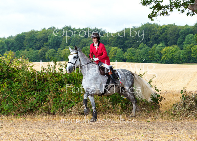 Jagd Knoop 26_MarinaHewigMCH02182 | Fotografie, FotoArt, PferdesportArt, Pferdesportfotografie, Landschaftsfotografie, Reisefotografie, Reise, Pferde - Realisiert mit Pictrs.com