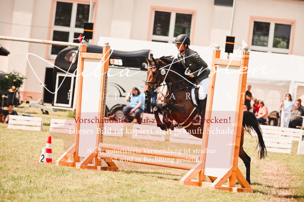 DSC_6914 | Pferde- und Turnierfotografie in Westsachsen. Pferdeportraits, Auftragszeichnungen und intuitive Kunst.