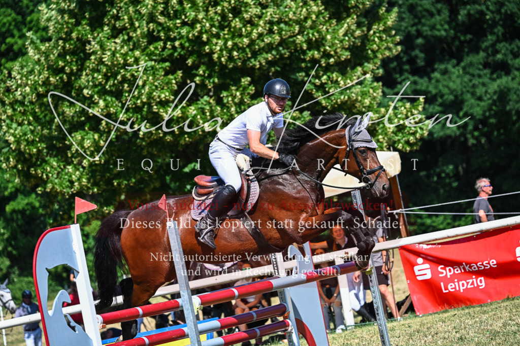 DSC_1671 | Pferde- und Turnierfotografie in Westsachsen. Pferdeportraits, Auftragszeichnungen und intuitive Kunst.