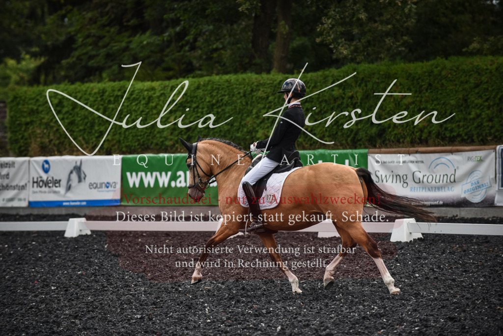 DSC_4417 | Pferde- und Turnierfotografie in Westsachsen. Pferdeportraits, Auftragszeichnungen und intuitive Kunst.