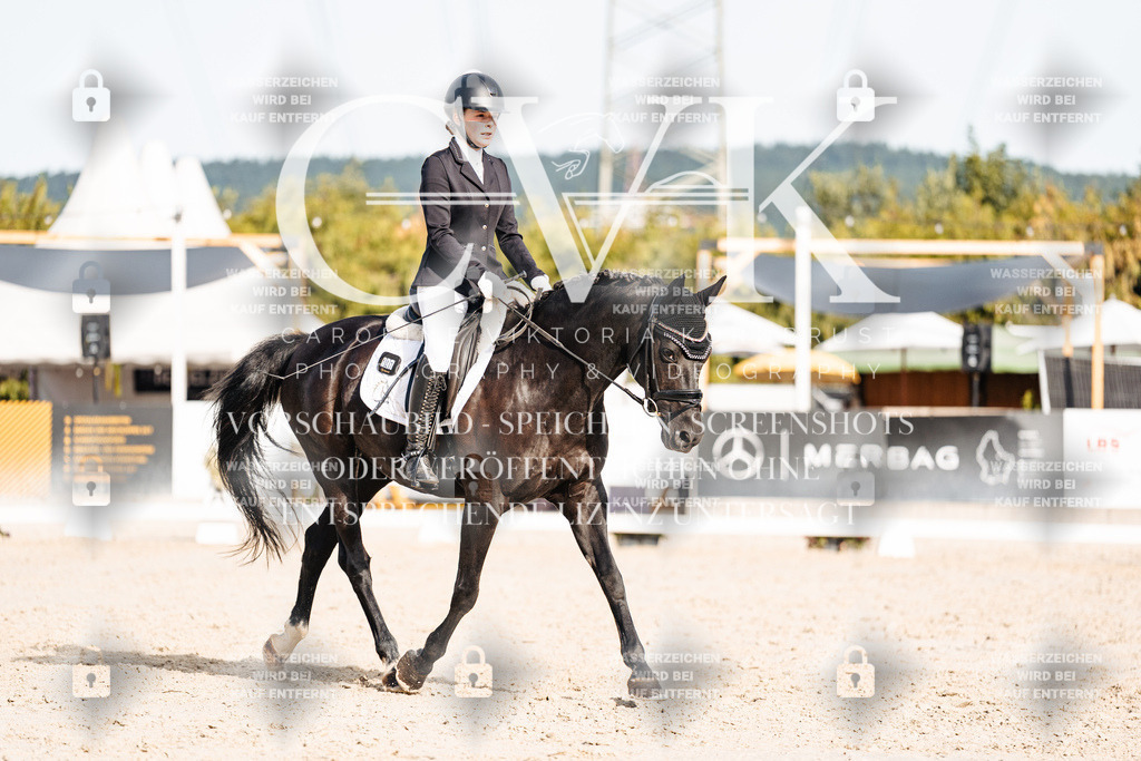 CK905005 | Turnierfotografie Pferdefotografie Trier Rheinland-Pfalz Pferdesport Reitsport Tierfotografie Sportfotografie Pferdevideo Pferdevideografie Equestrianvideography equestrianphotography  - Realisiert mit Pictrs.com