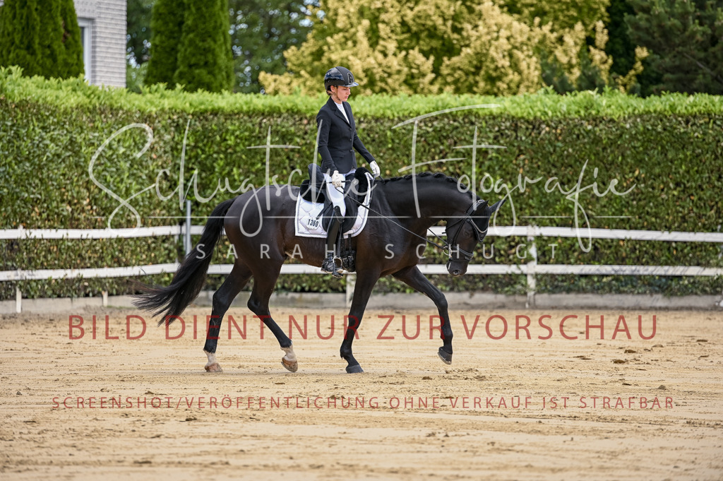 Schugtsche-Aluta25-48.Reitpferfdeprf.-106 | Schugtsche Fotografie - Realisiert mit Pictrs.com