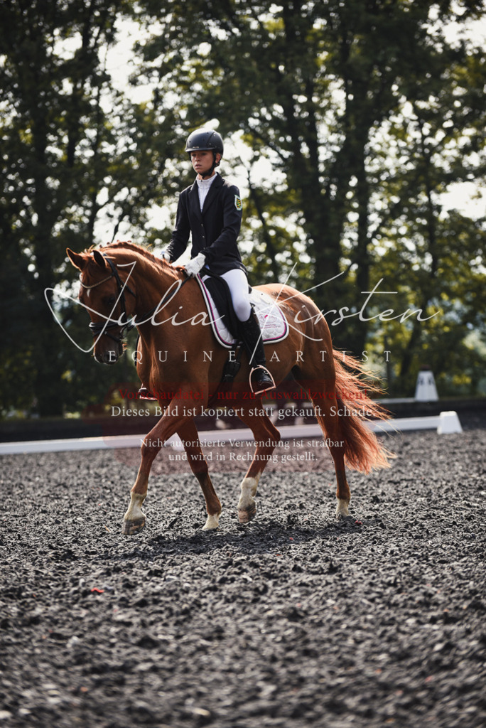 DSC_3602 | Pferde- und Turnierfotografie in Westsachsen. Pferdeportraits, Auftragszeichnungen und intuitive Kunst.