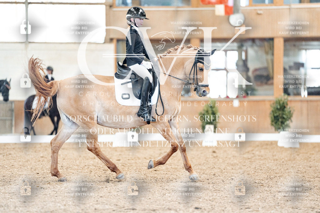 CK909668 | Turnierfotografie Pferdefotografie Trier Rheinland-Pfalz Pferdesport Reitsport Tierfotografie Sportfotografie Pferdevideo Pferdevideografie Equestrianvideography equestrianphotography  - Realisiert mit Pictrs.com