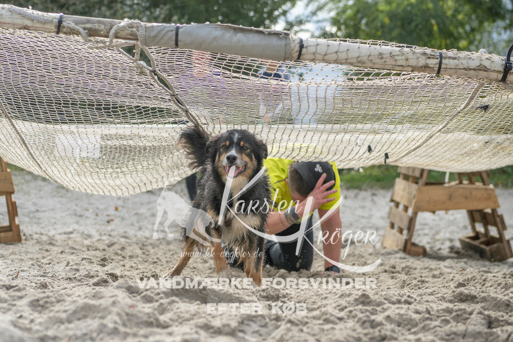 1145_ZZ99113 | kk-dogfotos