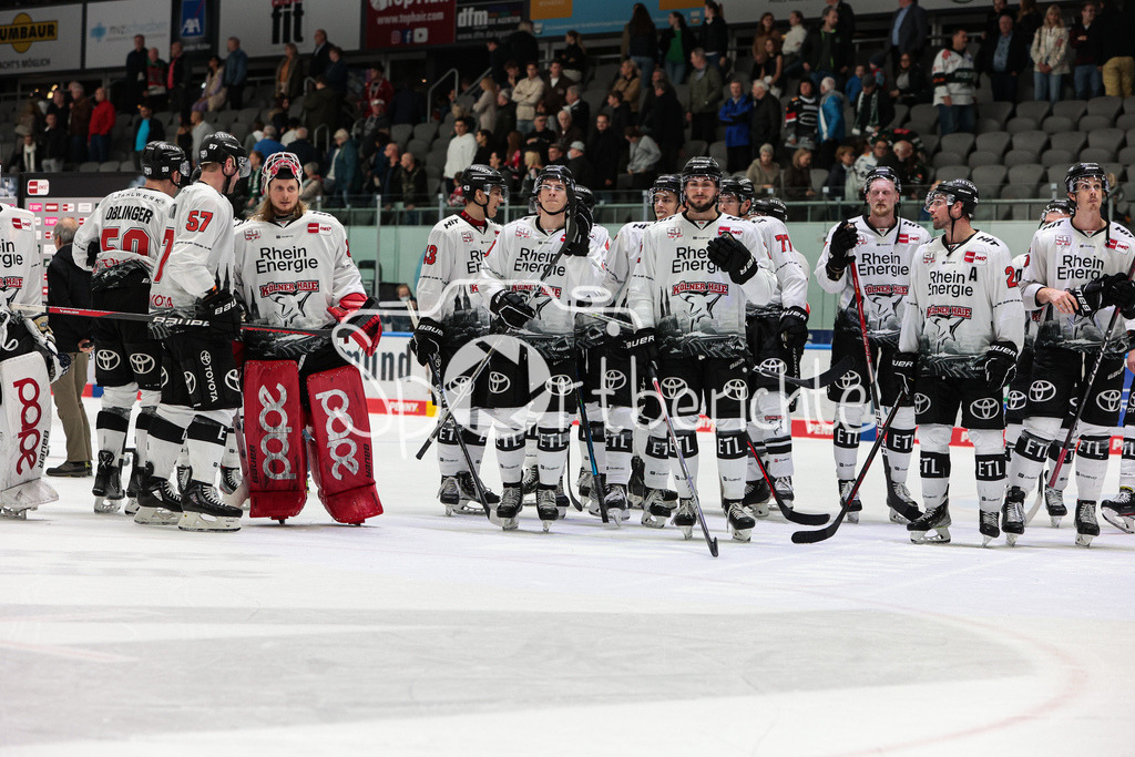 Augsburger Panther - Koelner Haie  | Die Koelner Haie feiern zusammen mit den Fans den Sieg in Augsburg