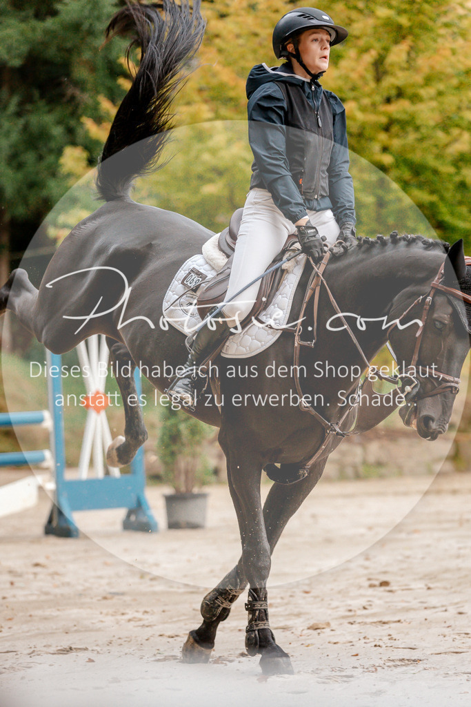 3I6A5546 | Stimmungsvolle Portraits und Reitsportfotografie im Ruhrgebiet und im Münsterland.

Pferdefotografie, Hundefotografie, Tierfotografie, Reportagen, Portraits von Tier und Mensch, Turnierfotografie in Bochum, Recklinghausen, Marl, Haltern am See, Dülmen.. - Realisiert mit Pictrs.com