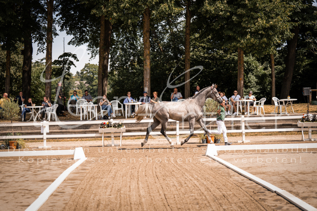 1.Fr00012 | Leoni Ertmer Photography - Realisiert mit Pictrs.com