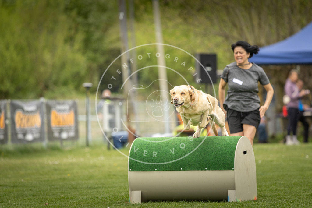Pfotenfotografie_DV3A1124 | Hundefotografie, Tierfotograf, Pfotenfotografie, Fotoshooting Hund, Hunde Portrait, Hundesport, Hundeportraits, Heideshooting, Hunde, Sportfotograf, Hundefotograf, Turnierhundsport, THS,  - Realisiert mit Pictrs.com