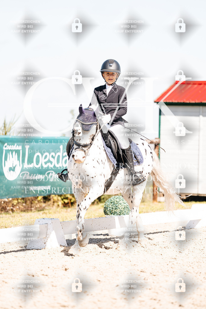 CK904168 | Turnierfotografie Pferdefotografie Trier Rheinland-Pfalz Pferdesport Reitsport Tierfotografie Sportfotografie Pferdevideo Pferdevideografie Equestrianvideography equestrianphotography  - Realisiert mit Pictrs.com
