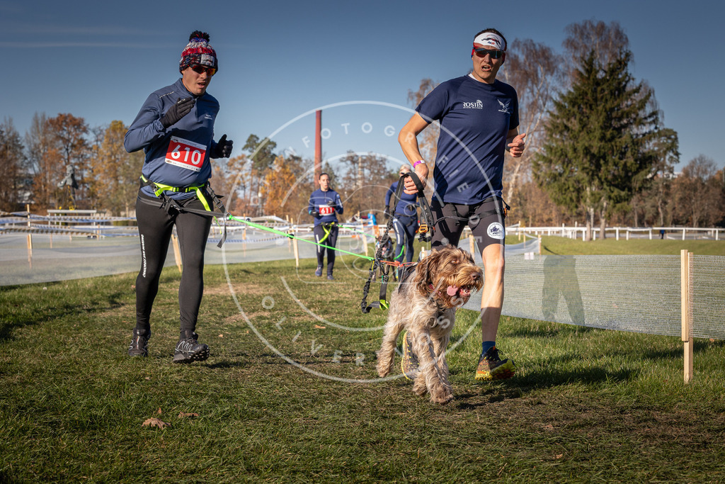 CaniXpix_0L8A8676 | Hundefotografie, Tierfotograf, Pfotenfotografie, Fotoshooting Hund, Hunde Portrait, Hundesport, Hundeportraits, Heideshooting, Hunde, Sportfotograf, Hundefotograf, Turnierhundsport, THS,  - Realisiert mit Pictrs.com
