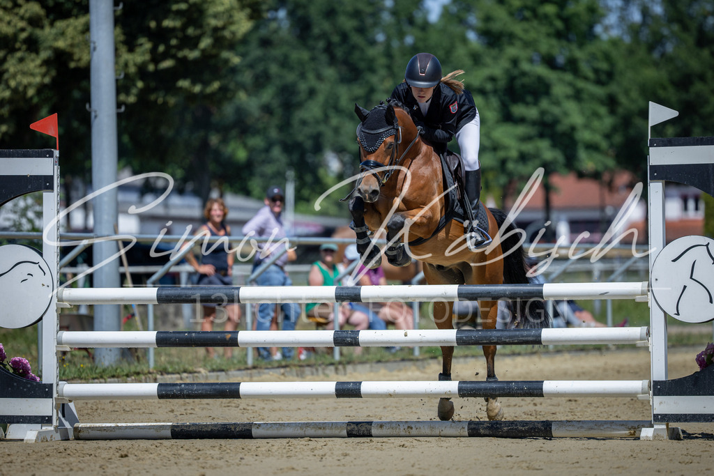 20260704-_3LI8059 | Tierfotografie Pferde, Hunde, Katzen, Haustiere.
Turnierfotografie Reitturniere, Reiten, Springreiten, Dressur in Hanau, dem Main-Kinzig-Kreis und dem Rhein-Main- Gebiet um Frankfurt