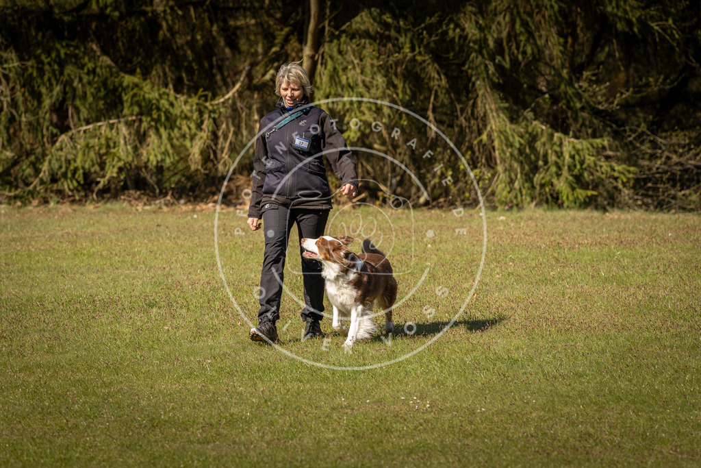 Pfotenfotografie_DV3A0419 | Hundefotografie, Tierfotograf, Pfotenfotografie, Fotoshooting Hund, Hunde Portrait, Hundesport, Hundeportraits, Heideshooting, Hunde, Sportfotograf, Hundefotograf, Turnierhundsport, THS,  - Realisiert mit Pictrs.com