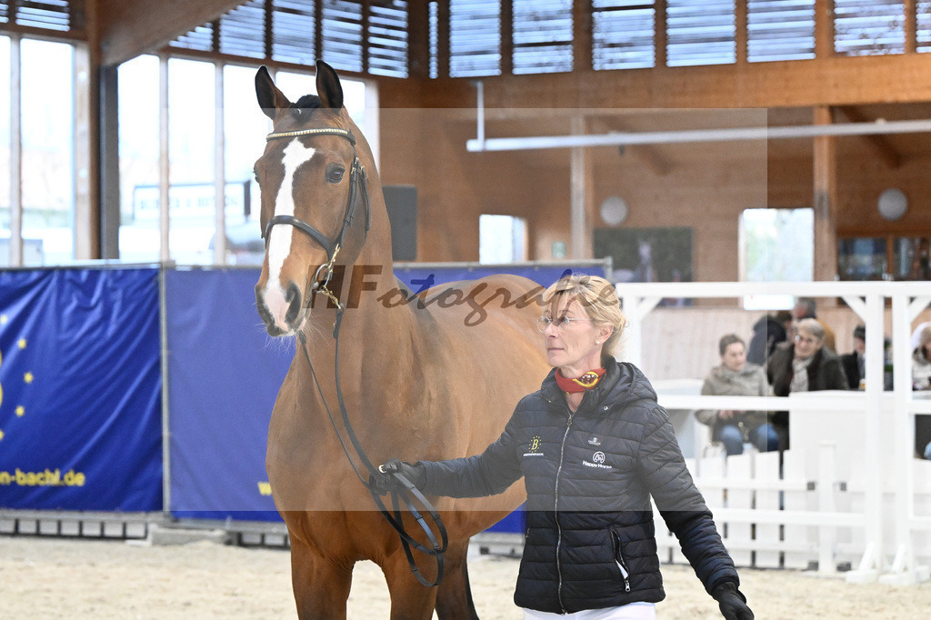 Sanvaro_7240730 | hf-fotografie - Realisiert mit Pictrs.com