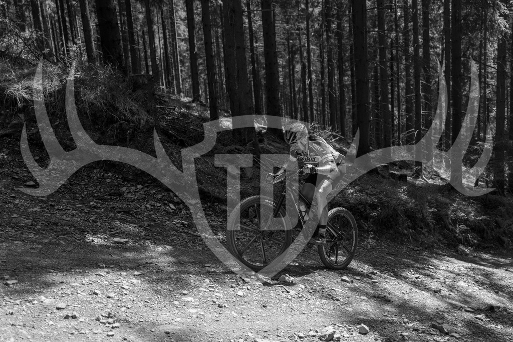 L1010741 | Fotogalerie der Treibjagd im Dunkelwald - Dein MTB Etappenrennen im Erzgebirge - Realisiert mit Pictrs.com