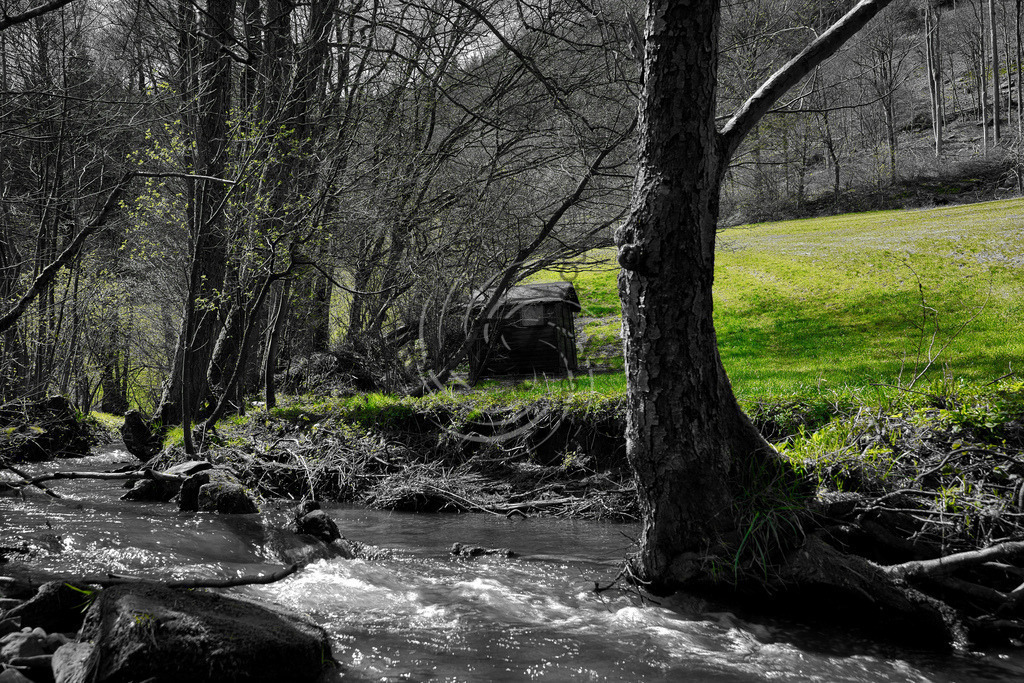 2022_04_15_2898 | Frank Herberich Fotografie, Frank Herberich, Fotografie, Hochzeit, Portrait, St. Peter Ording, Ording, Westerhever, Nordsee, Frank Fotografie, Hardheim,  Odenwald,Walldürn, Band,Eventfotografie - Realisiert mit Pictrs.com