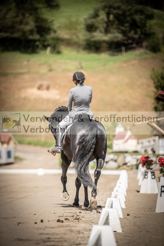 DSC_1374 | equestrian-live-com