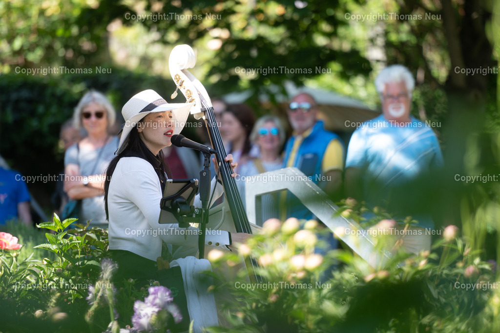 DSC_7563 | ble, 10.05.2025, Frühlingsmarkt Lorsch, Pfingstrosengarten, Mimi das Mädchen mit dem Kontrabass, ,, Bild: Thomas Neu