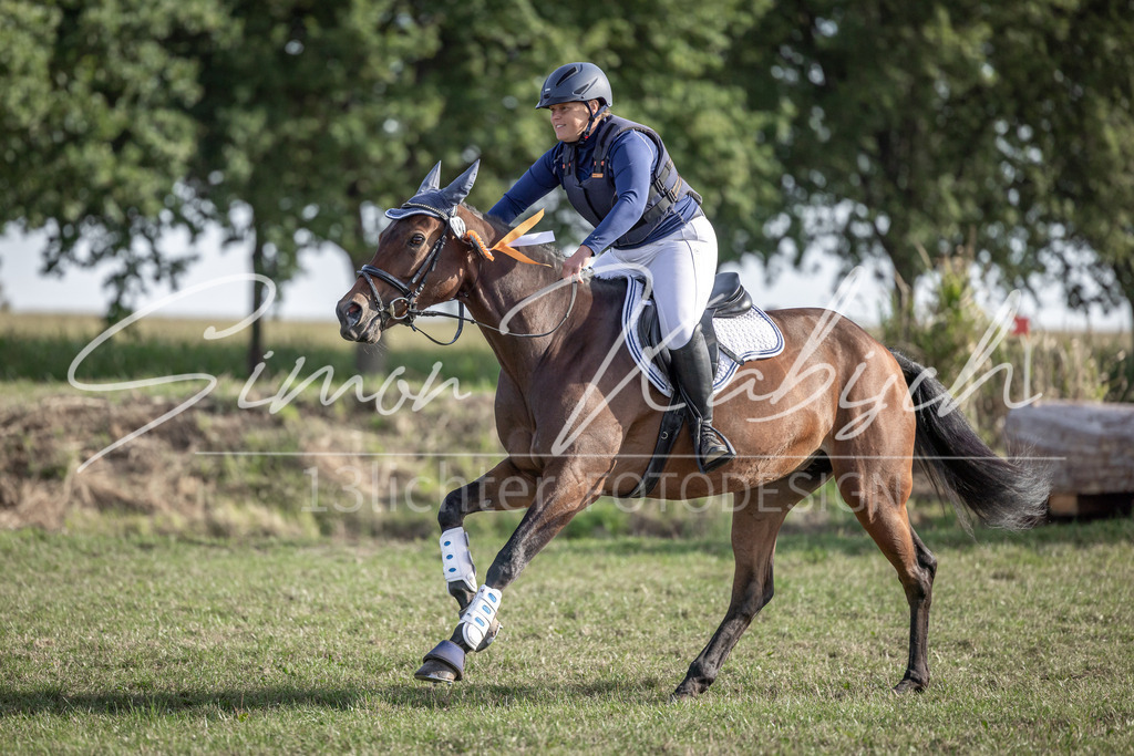 20250907-_3LI9022 | Tierfotografie Pferde, Hunde, Katzen, Haustiere.
Turnierfotografie Reitturniere, Reiten, Springreiten, Dressur in Hanau, dem Main-Kinzig-Kreis und dem Rhein-Main- Gebiet um Frankfurt