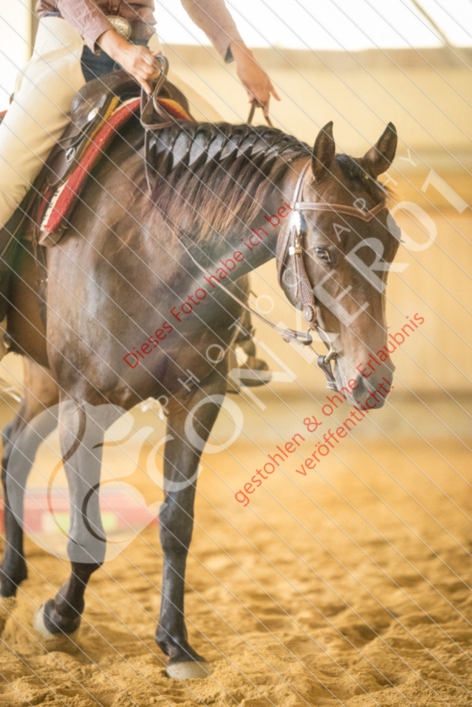 IMG_1509 | Sport-, Event- und Tierfotos in Profiqualität. Einfach auswählen, bestellen und herunterladen. Dein Moment – perfekt festgehalten.