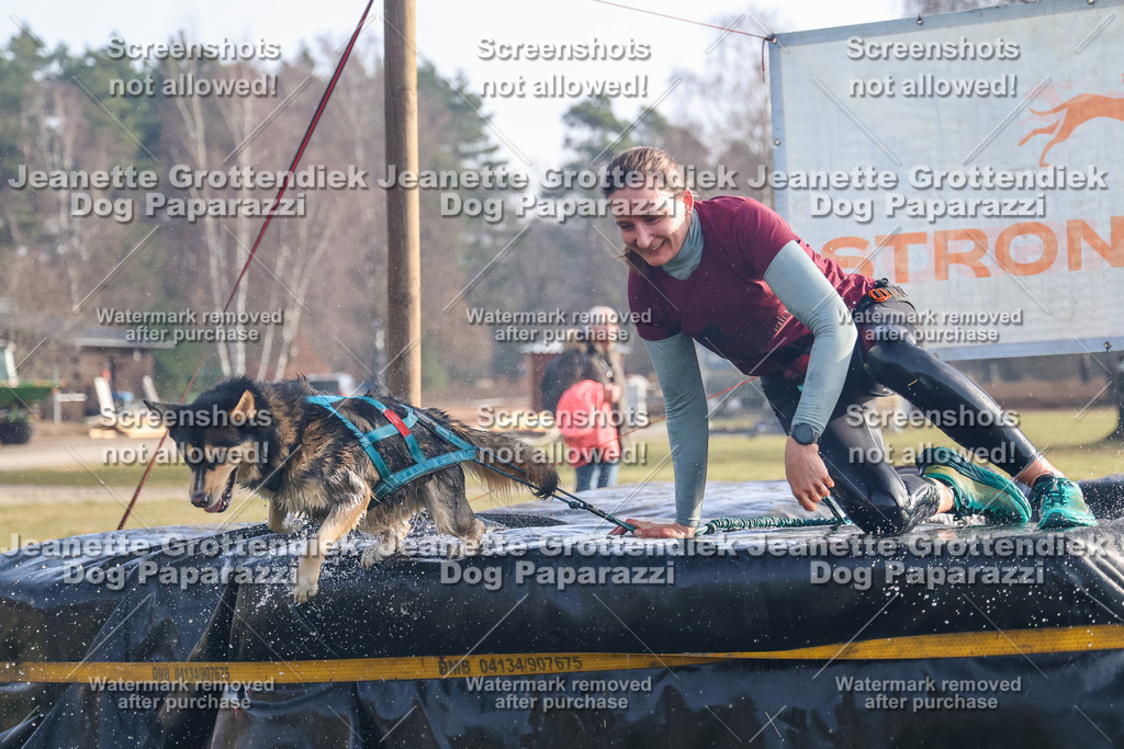 Dog Paparazzi - Strongdog North Mrz26-46 | Dog Paparazzi Jeanette Grottendiek Fotografie & Videografie - Realisiert mit Pictrs.com