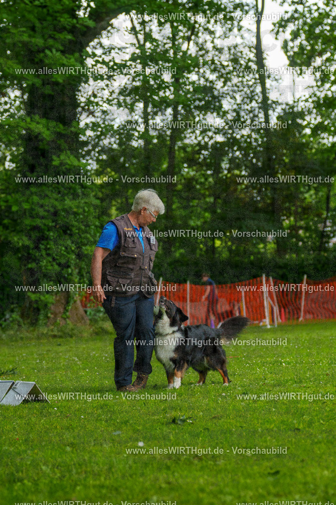 @allesWIRTHgut_Tierfotografie - www.allesWIRTHgut.de - 091303-7R506732 | Professionelle Tierfotografie in Mönchengladbach von Daniel Wirth (allesWIRTHgut). Liebevolle & natürliche Bilder von Hunden & Katzen für unvergessliche Erinnerungen.