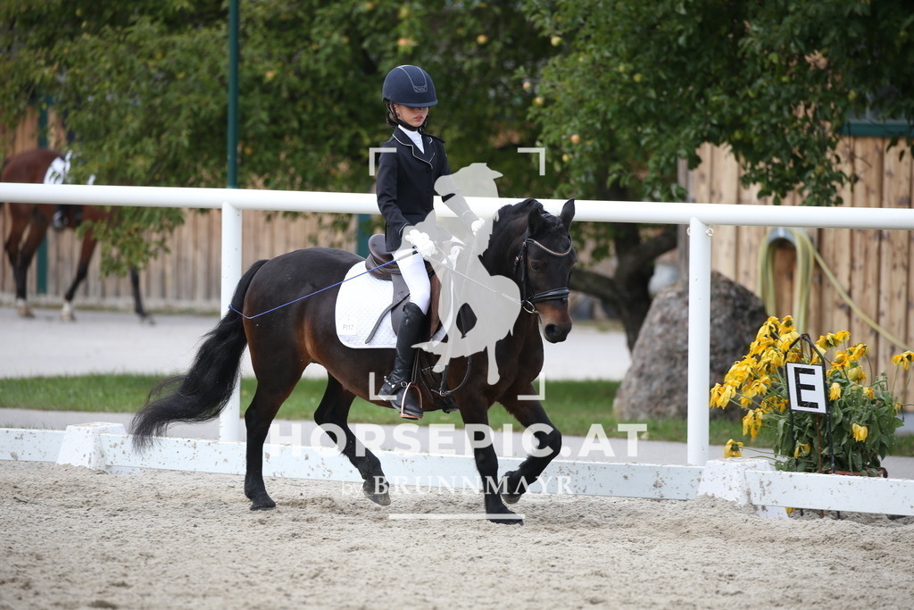 DL2Q3988 | Willkommen bei Brunnmayr - Design & Fotografie – Ihrem Spezialisten für Reitturniere und Pferdeveranstaltungen in Oberösterreich, Salzburg und Bayern! Seit über 17 Jahren sind wir leidenschaftlich dabei.