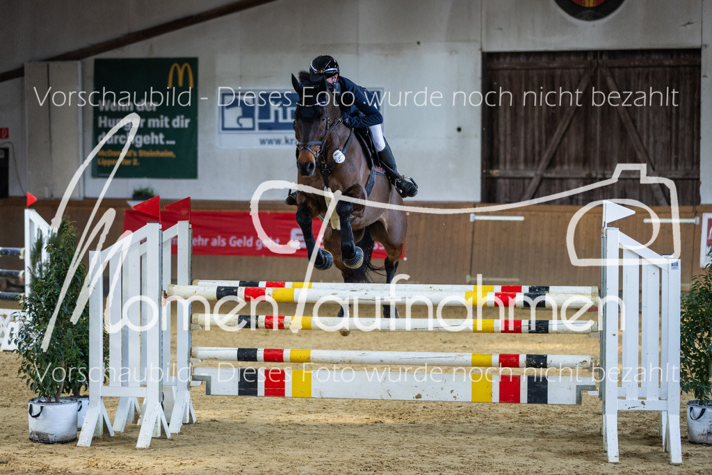 Sth-LPO25-L-Spr-025 | MomenTaufnahmen Pferdesportfotos