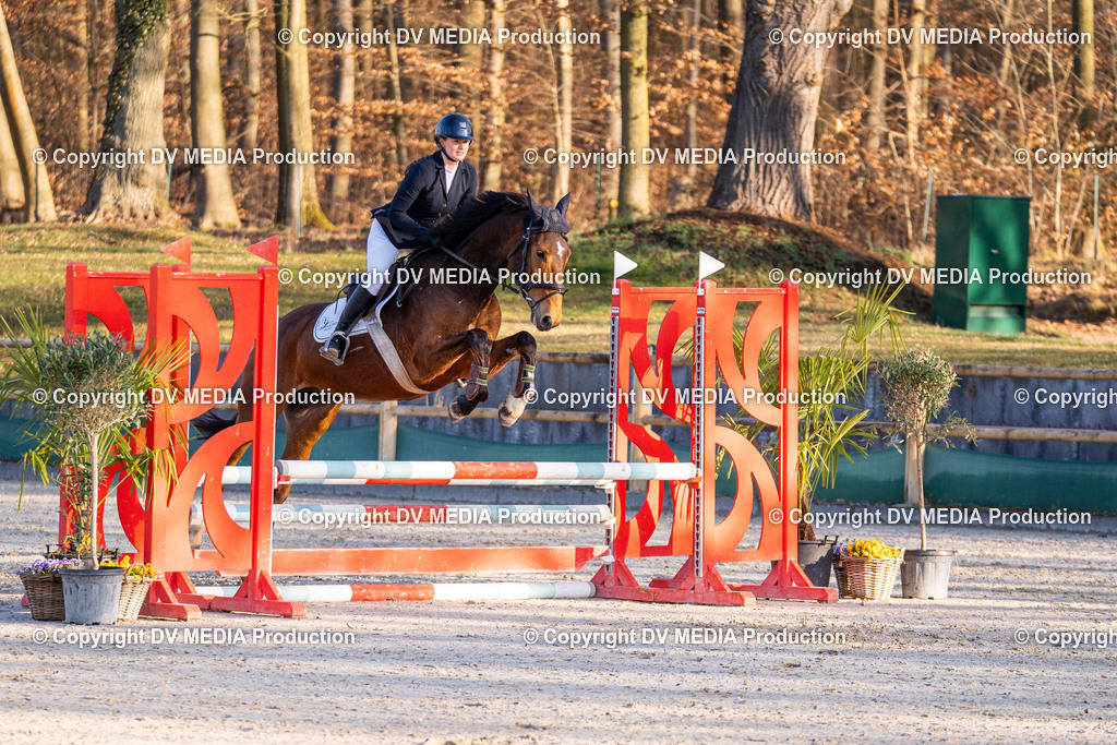 Kranichstein Tag 1-079 | dv-media-shop - Realisiert mit Pictrs.com