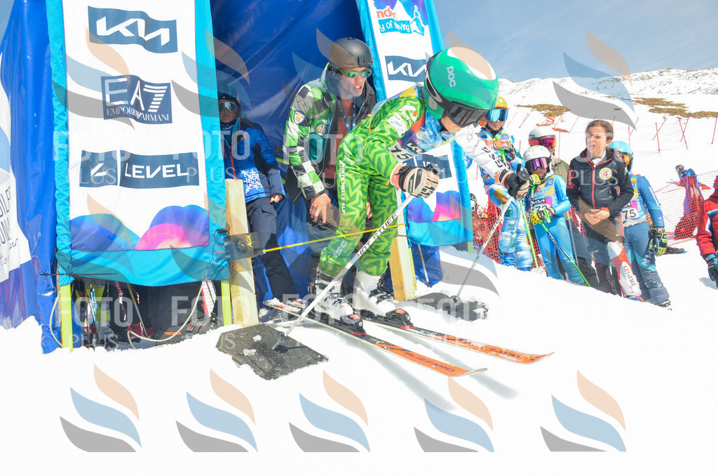 _ELE6365 | holidayphoto