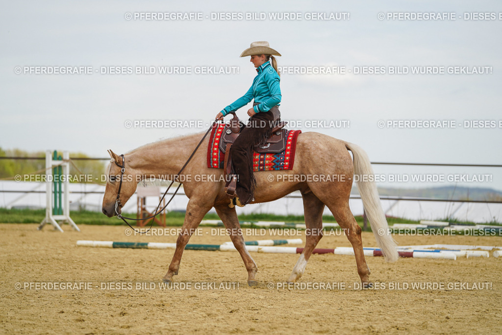 DSC05427 | Pferdegrafie