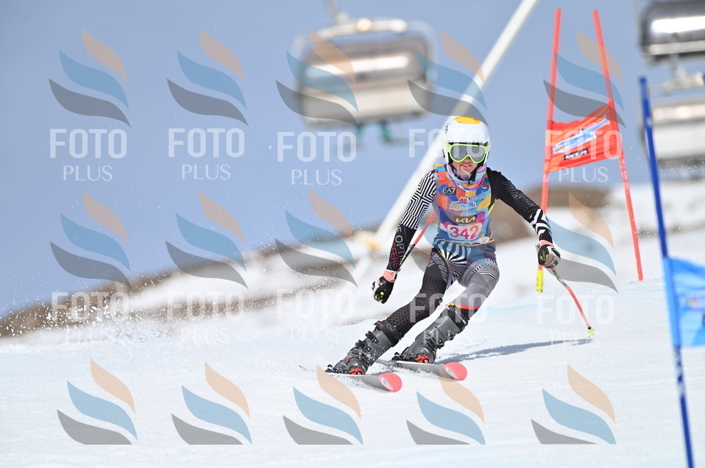 BGV_3478 | holidayphoto