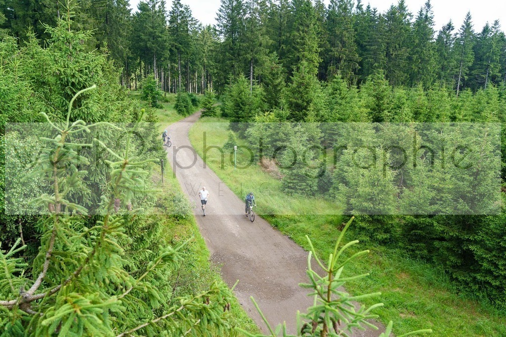 Rennsteig-Staffellauf | 24. Staffellauf - 22.06.2024 von Hörschel nach Blankenstein