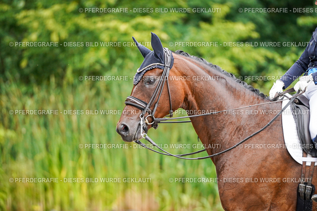 DSC00168 | Pferdegrafie