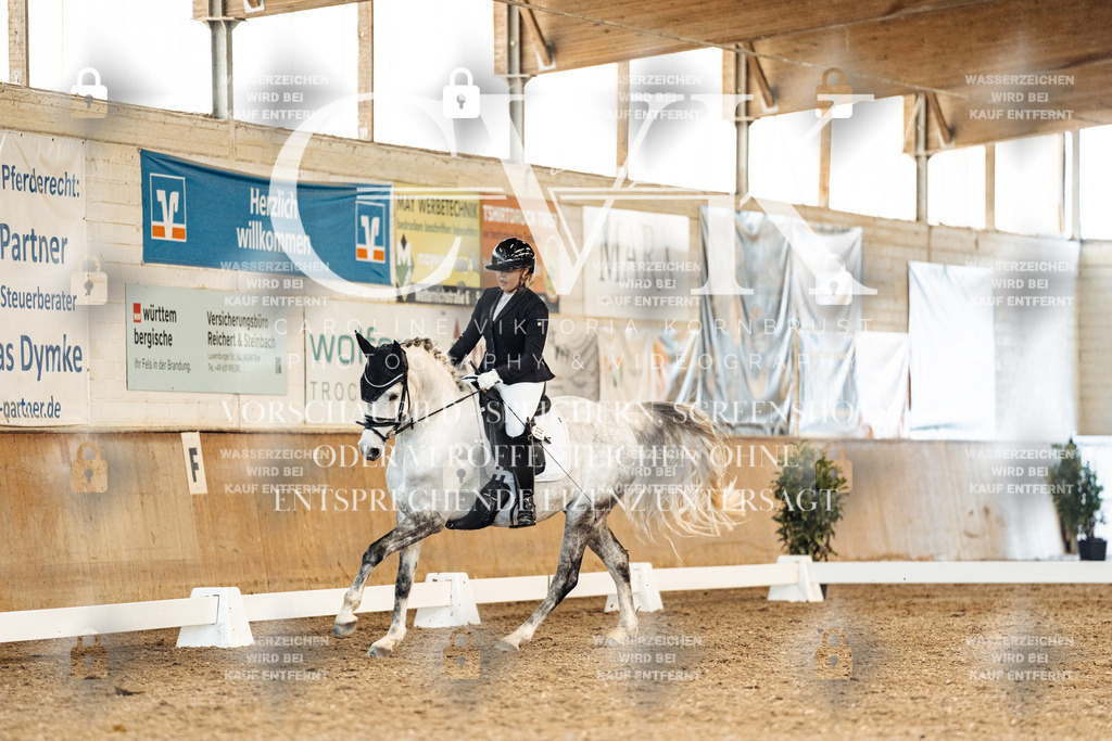 CK909627 | Turnierfotografie Pferdefotografie Trier Rheinland-Pfalz Pferdesport Reitsport Tierfotografie Sportfotografie Pferdevideo Pferdevideografie Equestrianvideography equestrianphotography  - Realisiert mit Pictrs.com