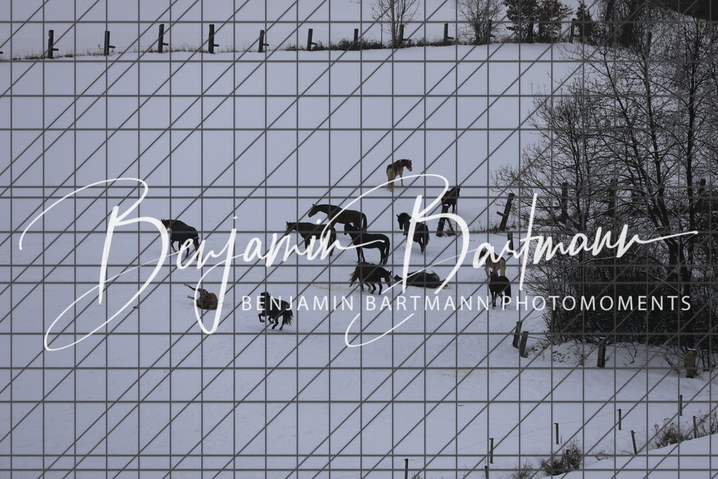 AZ2A3426 | Benjamin Bartmann Photomoments