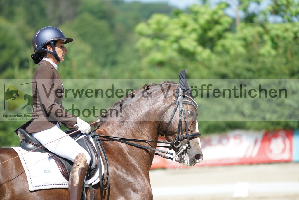 DSC03104 | equestrian-live-com