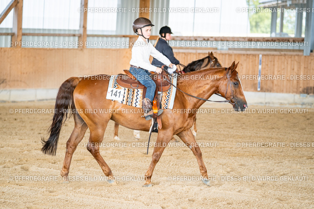 DSC08756 | Pferdegrafie