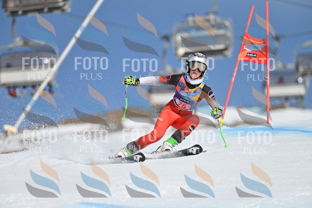 BGV_8993 | holidayphoto