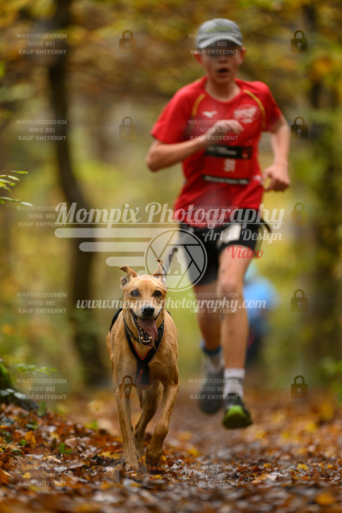 MompixPhotography_CD7S_DI_CCL-71 | mompixphotography