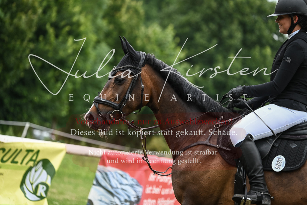 DSC_8441 | Pferde- und Turnierfotografie in Westsachsen. Pferdeportraits, Auftragszeichnungen und intuitive Kunst.