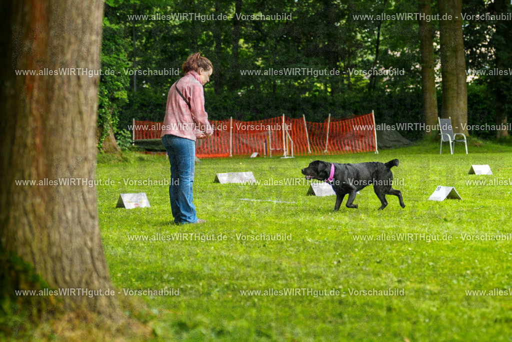 @allesWIRTHgut_Tierfotografie - www.allesWIRTHgut.de - 7R503140 | Professionelle Tierfotografie in Mönchengladbach von Daniel Wirth (allesWIRTHgut). Liebevolle & natürliche Bilder von Hunden & Katzen für unvergessliche Erinnerungen.