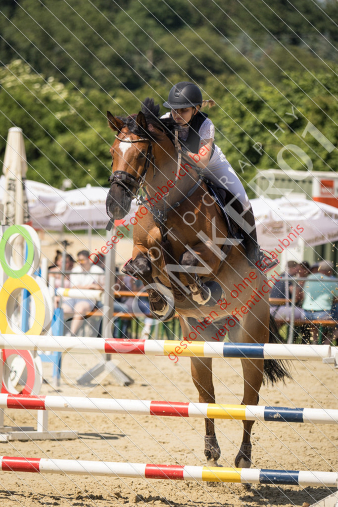 IMG_9724 | Sport-, Event- und Tierfotos in Profiqualität. Einfach auswählen, bestellen und herunterladen. Dein Moment – perfekt festgehalten.