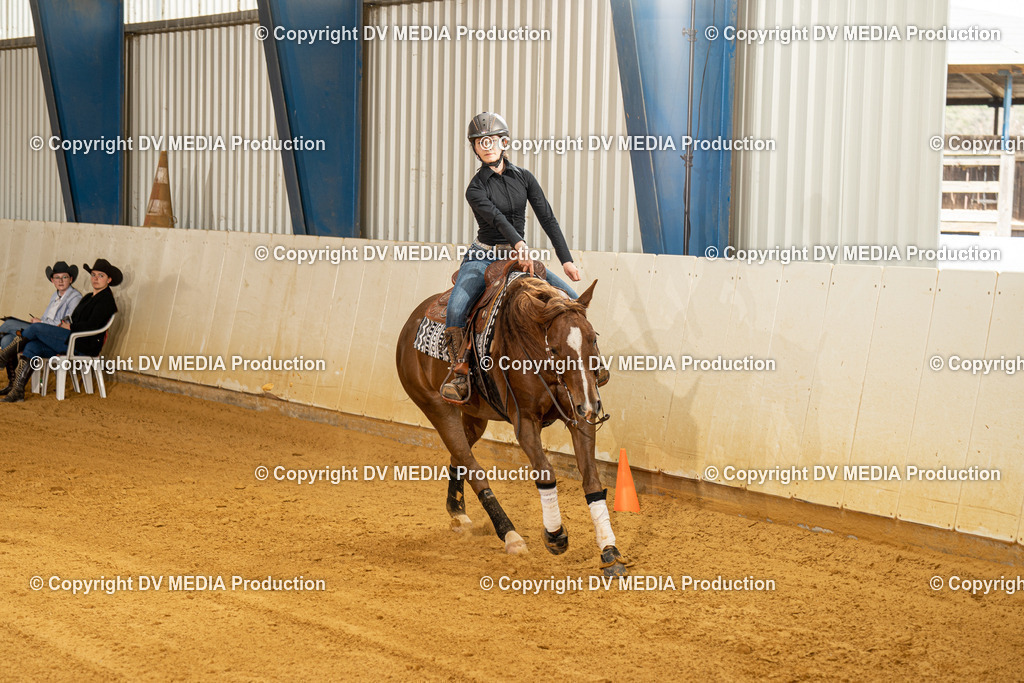 MIT00237 | dv-media-shop - Realisiert mit Pictrs.com