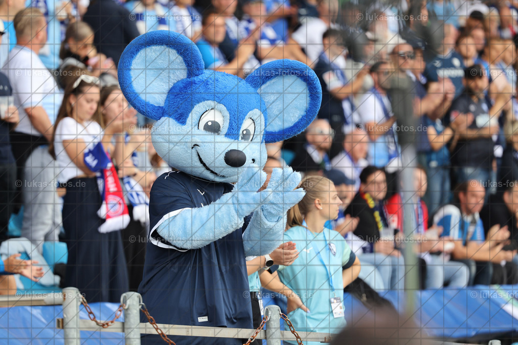 2. Bundesliga: VfL BOchum - Preußen Münster 1:2 | 2. Bundesliga: VfL BOchum - Preußen Münster 1:2 - Realisiert mit Pictrs.com