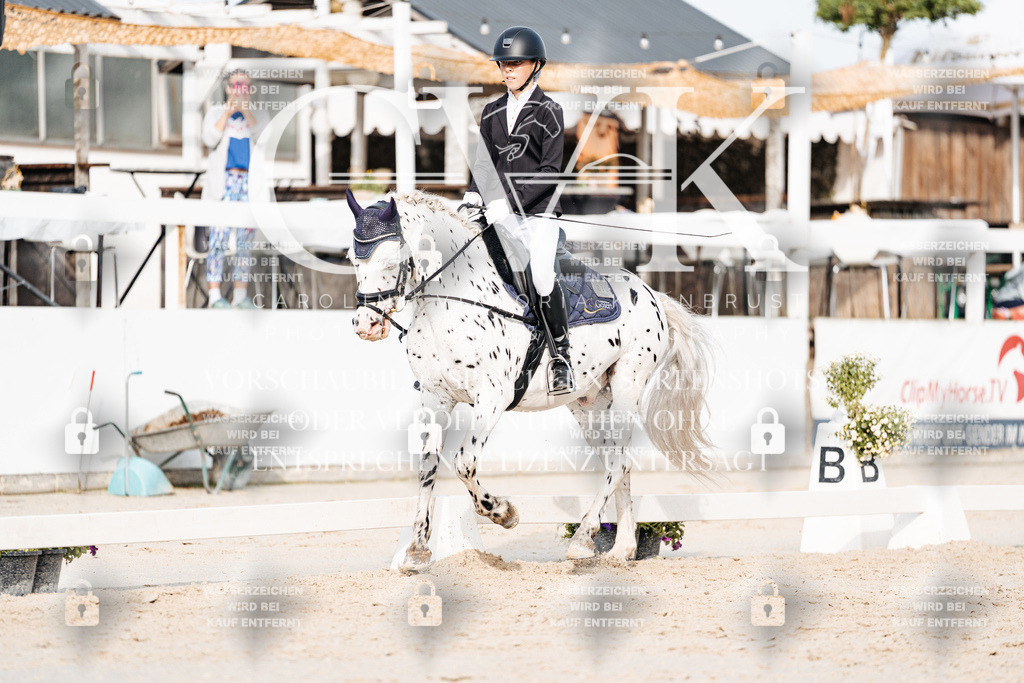 CK904423 | Turnierfotografie Pferdefotografie Trier Rheinland-Pfalz Pferdesport Reitsport Tierfotografie Sportfotografie Pferdevideo Pferdevideografie Equestrianvideography equestrianphotography  - Realisiert mit Pictrs.com