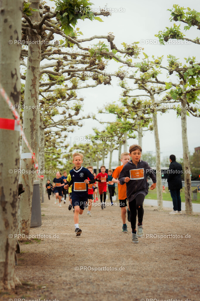 Brückenlauf, 17.05.2026 | am 17.05.2026 bei SPARDA-BANK Brückenlauf in Düsseldorf