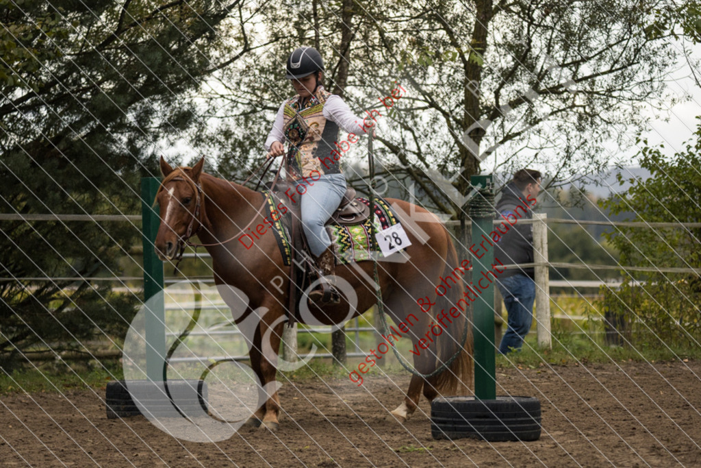 CON_8663 | Sport-, Event- und Tierfotos in Profiqualität. Einfach auswählen, bestellen und herunterladen. Dein Moment – perfekt festgehalten.