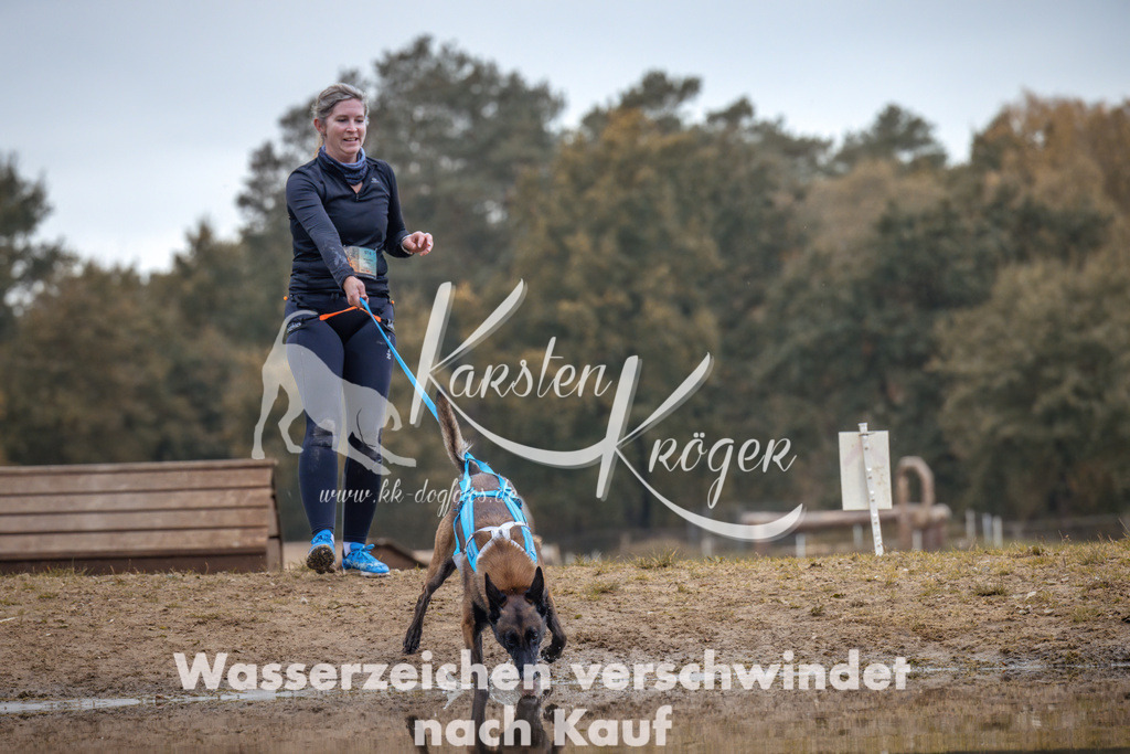 1356_ZZ94912 | kk-dogfotos